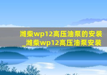 潍柴wp12高压油泵的安装_潍柴wp12高压油泵安装