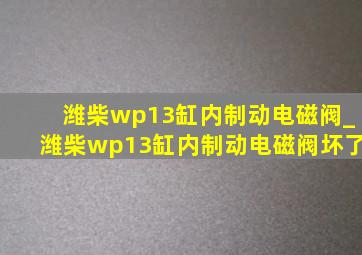 潍柴wp13缸内制动电磁阀_潍柴wp13缸内制动电磁阀坏了