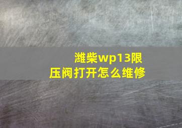 潍柴wp13限压阀打开怎么维修