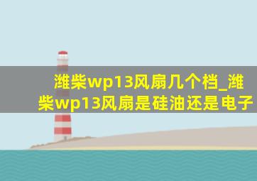 潍柴wp13风扇几个档_潍柴wp13风扇是硅油还是电子