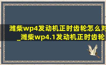 潍柴wp4发动机正时齿轮怎么对_潍柴wp4.1发动机正时齿轮怎么对