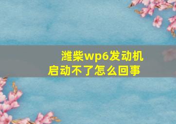 潍柴wp6发动机启动不了怎么回事