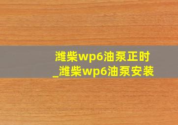 潍柴wp6油泵正时_潍柴wp6油泵安装