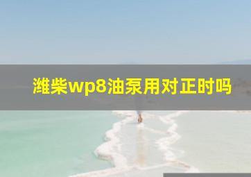 潍柴wp8油泵用对正时吗