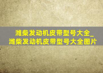 潍柴发动机皮带型号大全_潍柴发动机皮带型号大全图片