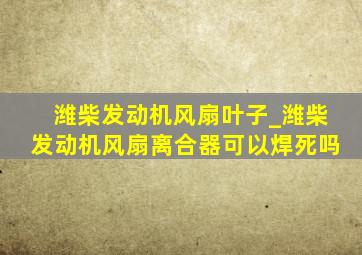 潍柴发动机风扇叶子_潍柴发动机风扇离合器可以焊死吗