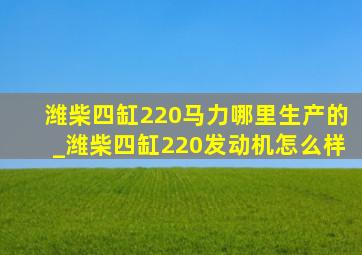 潍柴四缸220马力哪里生产的_潍柴四缸220发动机怎么样