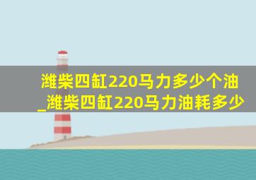 潍柴四缸220马力多少个油_潍柴四缸220马力油耗多少