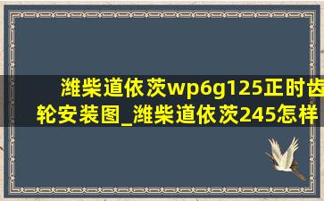 潍柴道依茨wp6g125正时齿轮安装图_潍柴道依茨245怎样对正时