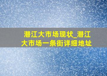 潜江大市场现状_潜江大市场一条街详细地址