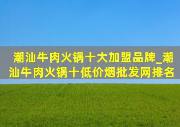 潮汕牛肉火锅十大加盟品牌_潮汕牛肉火锅十(低价烟批发网)排名