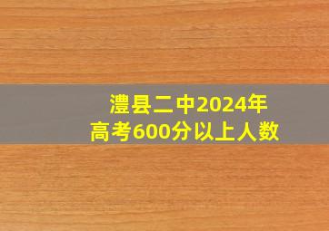 澧县二中2024年高考600分以上人数