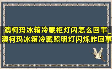 澳柯玛冰箱冷藏柜灯闪怎么回事_澳柯玛冰箱冷藏照明灯闪烁咋回事