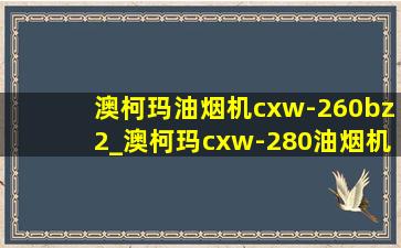 澳柯玛油烟机cxw-260bz2_澳柯玛cxw-280油烟机拆洗教程