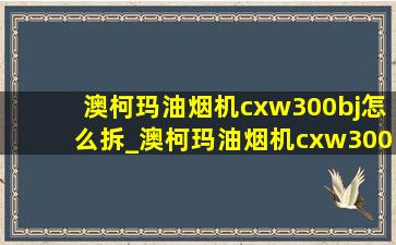 澳柯玛油烟机cxw300bj怎么拆_澳柯玛油烟机cxw300b