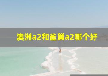 澳洲a2和雀巢a2哪个好