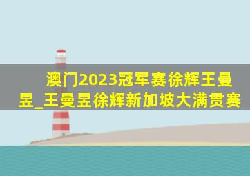 澳门2023冠军赛徐辉王曼昱_王曼昱徐辉新加坡大满贯赛