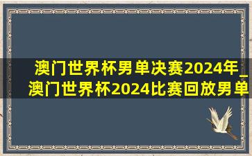 澳门世界杯男单决赛2024年_澳门世界杯2024比赛回放男单决赛