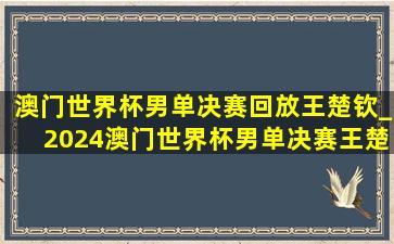 澳门世界杯男单决赛回放王楚钦_2024澳门世界杯男单决赛王楚钦