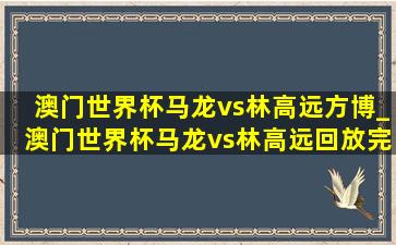 澳门世界杯马龙vs林高远方博_澳门世界杯马龙vs林高远回放完整