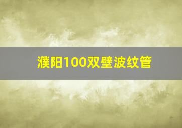 濮阳100双壁波纹管