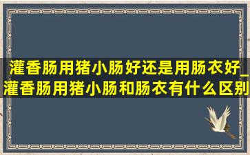 灌香肠用猪小肠好还是用肠衣好_灌香肠用猪小肠和肠衣有什么区别