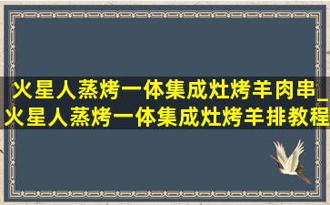 火星人蒸烤一体集成灶烤羊肉串_火星人蒸烤一体集成灶烤羊排教程