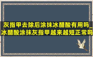 灰指甲去除后涂抹冰醋酸有用吗_冰醋酸涂抹灰指甲越来越短正常吗