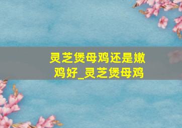 灵芝煲母鸡还是嫩鸡好_灵芝煲母鸡