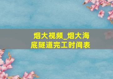 烟大视频_烟大海底隧道完工时间表