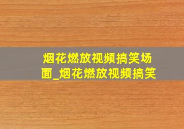 烟花燃放视频搞笑场面_烟花燃放视频搞笑