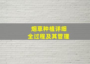 烟草种植详细全过程及其管理