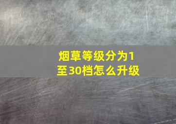 烟草等级分为1至30档怎么升级