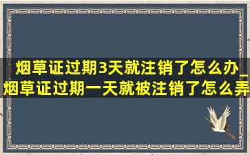 烟草证过期3天就注销了怎么办_烟草证过期一天就被注销了怎么弄