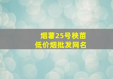 烟薯25号秧苗(低价烟批发网)名