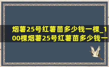 烟薯25号红薯苗多少钱一棵_100棵烟薯25号红薯苗多少钱一棵