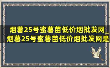 烟薯25号蜜薯苗(低价烟批发网)_烟薯25号蜜薯苗(低价烟批发网)是什么样