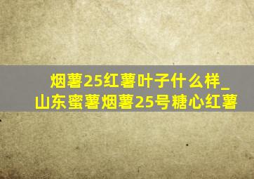 烟薯25红薯叶子什么样_山东蜜薯烟薯25号糖心红薯