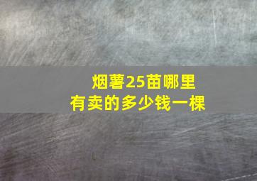 烟薯25苗哪里有卖的多少钱一棵