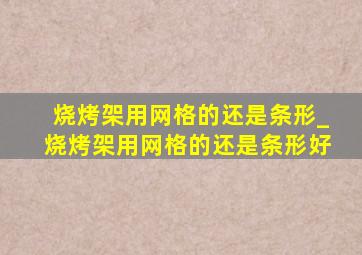 烧烤架用网格的还是条形_烧烤架用网格的还是条形好