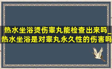 热水坐浴烫伤睾丸能检查出来吗_热水坐浴是对睾丸永久性的伤害吗