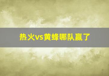 热火vs黄蜂哪队赢了