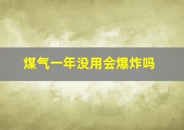 煤气一年没用会爆炸吗