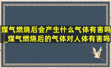 煤气燃烧后会产生什么气体有害吗_煤气燃烧后的气体对人体有害吗