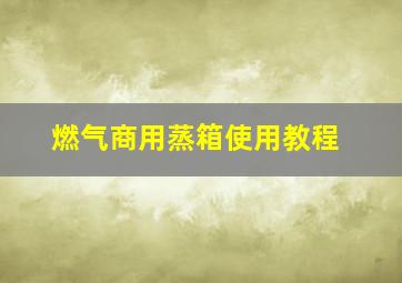 燃气商用蒸箱使用教程