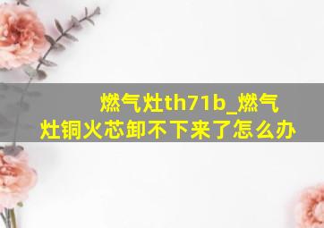 燃气灶th71b_燃气灶铜火芯卸不下来了怎么办