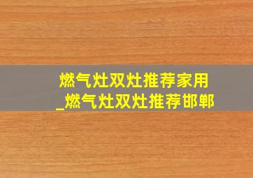 燃气灶双灶推荐家用_燃气灶双灶推荐邯郸