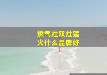 燃气灶双灶猛火什么品牌好