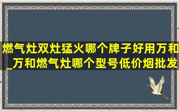 燃气灶双灶猛火哪个牌子好用万和_万和燃气灶哪个型号(低价烟批发网)