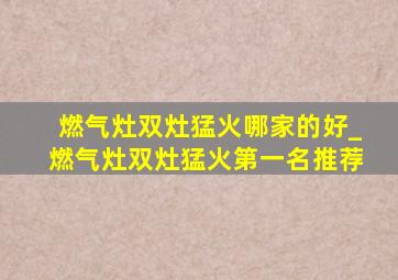 燃气灶双灶猛火哪家的好_燃气灶双灶猛火第一名推荐